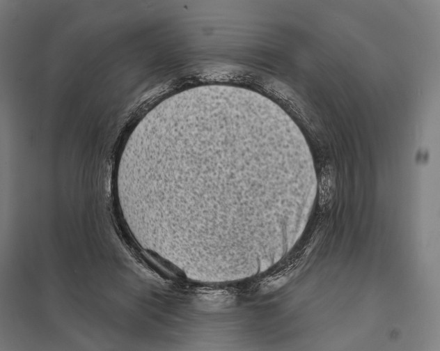 X0000097630454200803281104