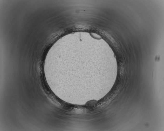 X0000097630455200803281104