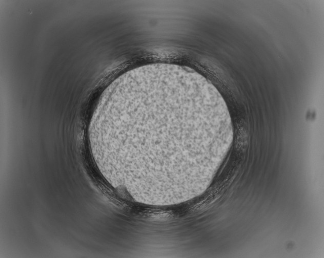 X0000097630456200803281104