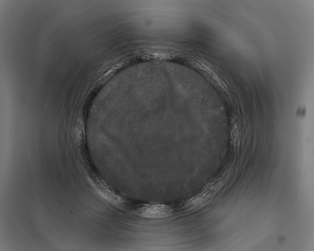 X0000097630459200803281104