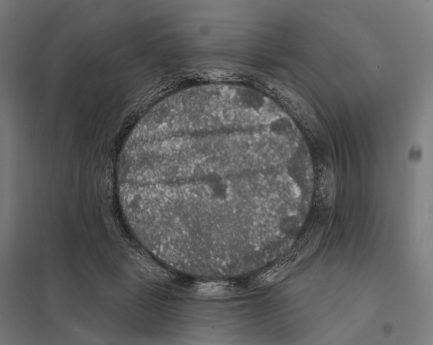 X0000097630461200803281104