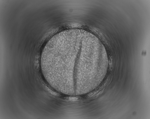 X0000097630462200803281104