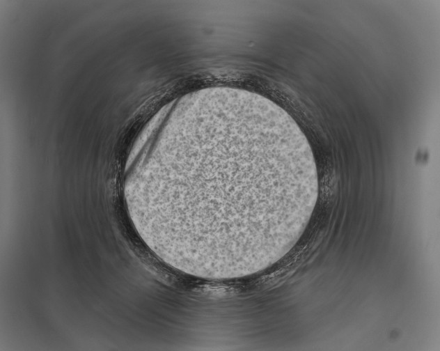 X0000097630464200803281105