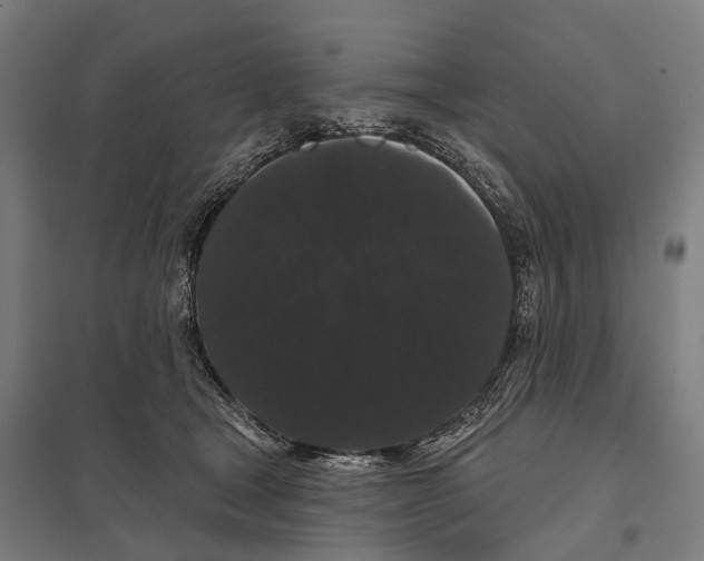 X0000097630465200803281105
