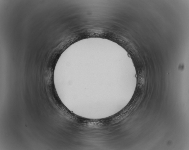 X0000097630468200803281105