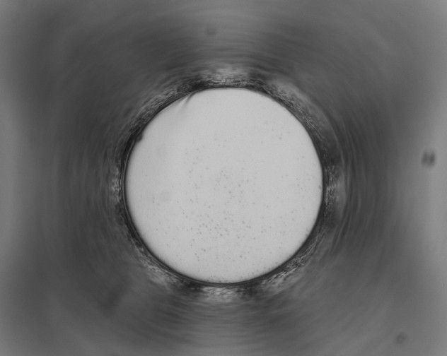 X0000097630469200803281105