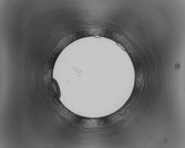 X0000097630473200803281105