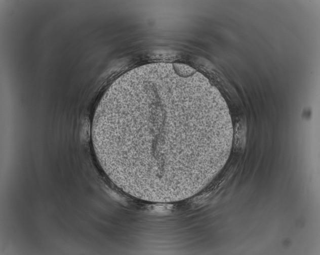 X0000097630474200803281105