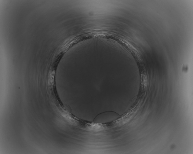 X0000097630475200803281105