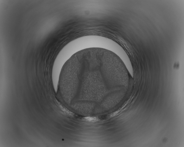 X0000097630477200803281105