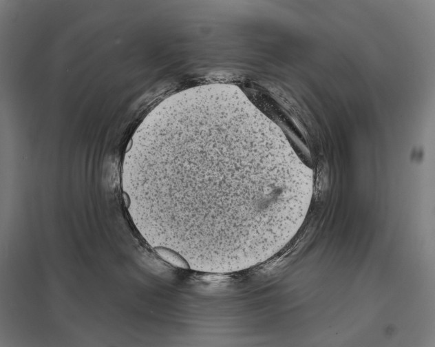 X0000097630478200803281105