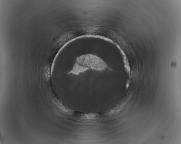 X0000097630479200803281105