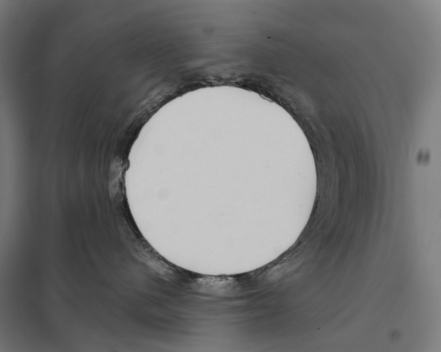 X0000097630480200803281105