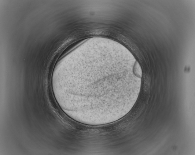 X0000097630482200803281104