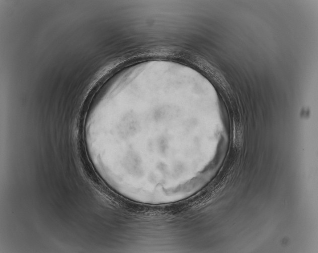 X0000097630483200803281104