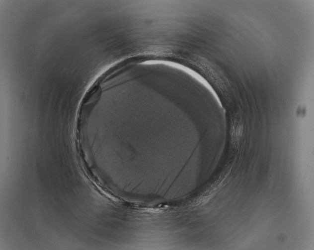 X0000097630484200803281104