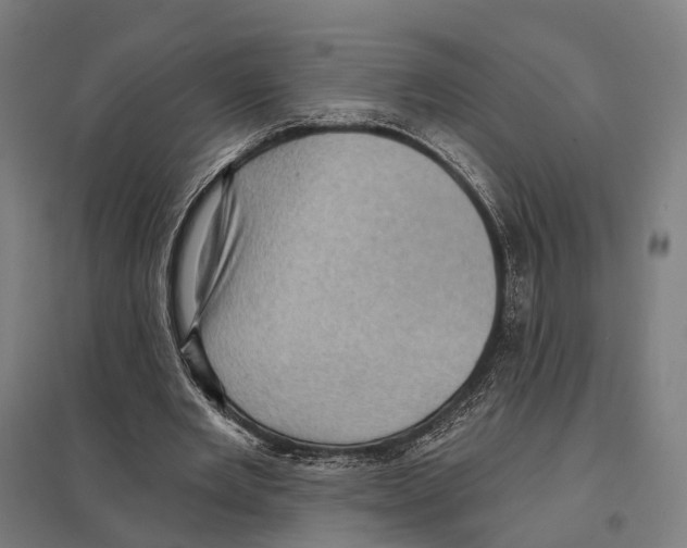 X0000097630485200803281104