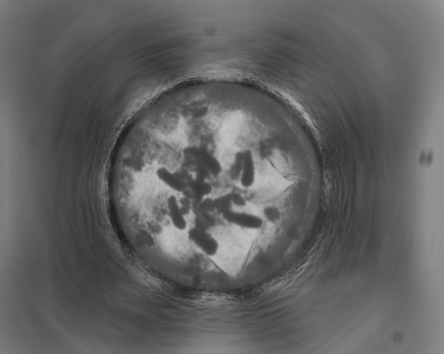 X0000097630487200803281104