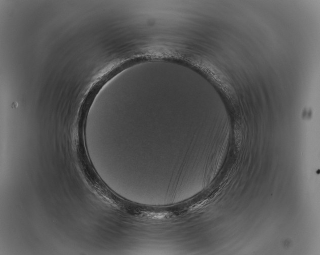 X0000097630488200803281104