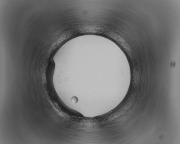 X0000097630489200803281104
