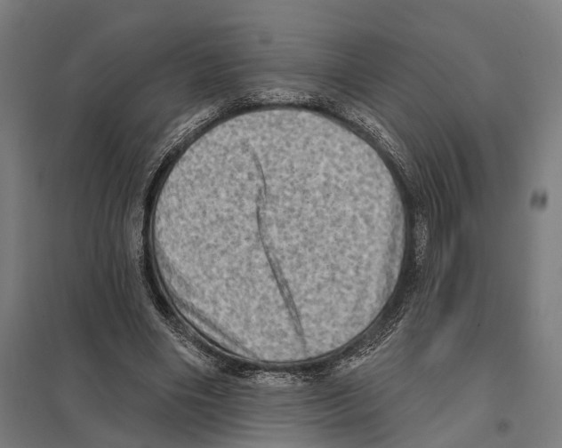 X0000097630490200803281104