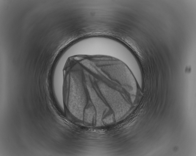 X0000097630491200803281104