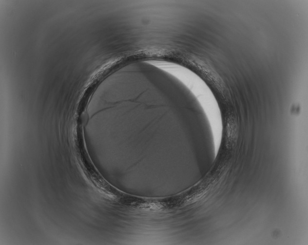 X0000097630492200803281104