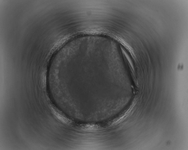 X0000097630493200803281104