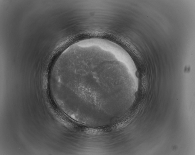 X0000097630494200803281104