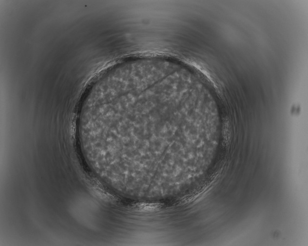 X0000097630495200803281104