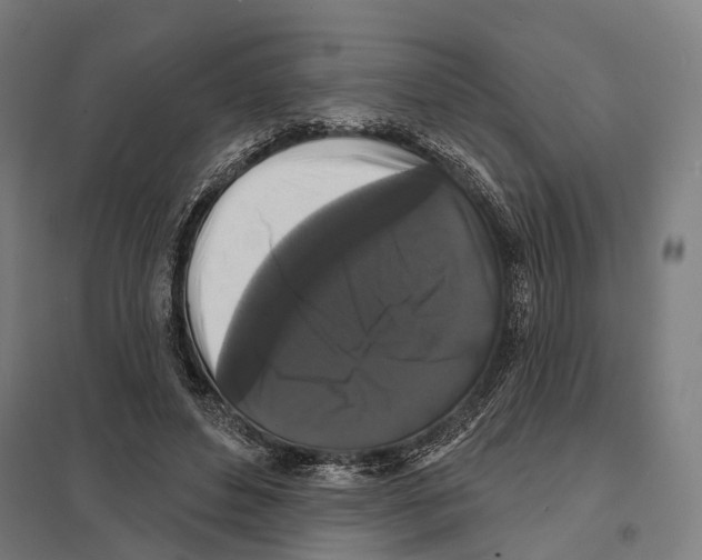 X0000097630496200803281104