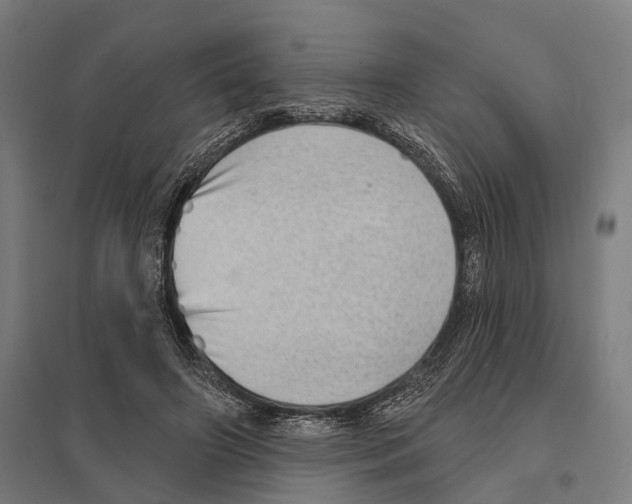 X0000097630498200803281104