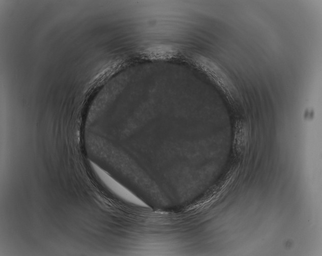 X0000097630501200803281104