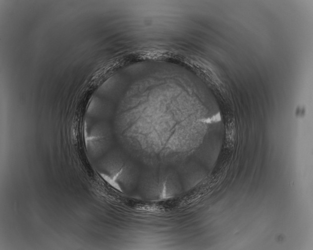X0000097630503200803281104