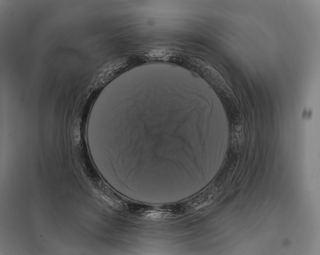 X0000097630504200803281104