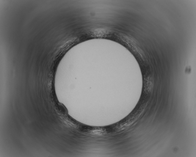 X0000097630505200803281104