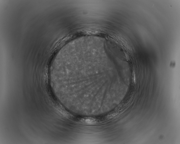 X0000097630506200803281104