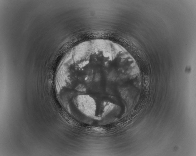 X0000097630507200803281104