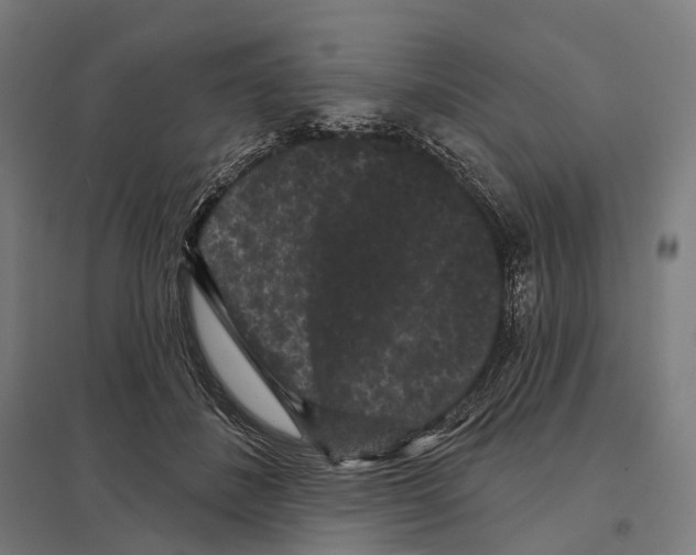 X0000097630508200803281104