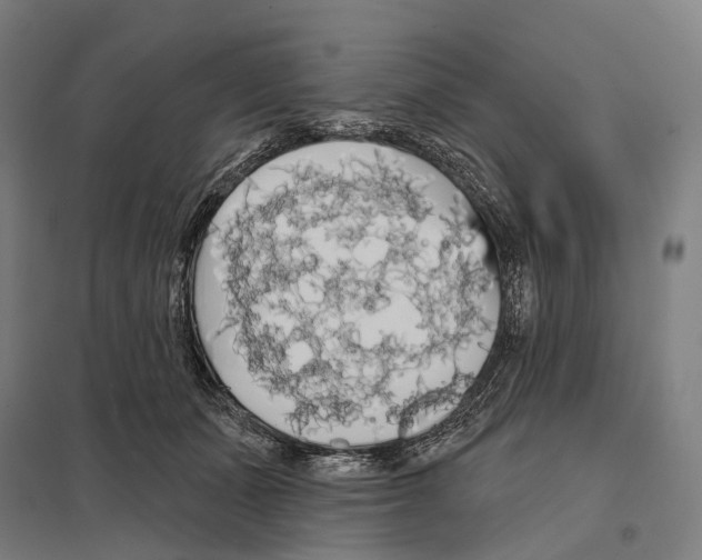 X0000097630511200803281103