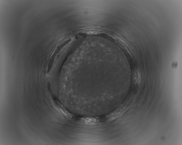 X0000097630512200803281103