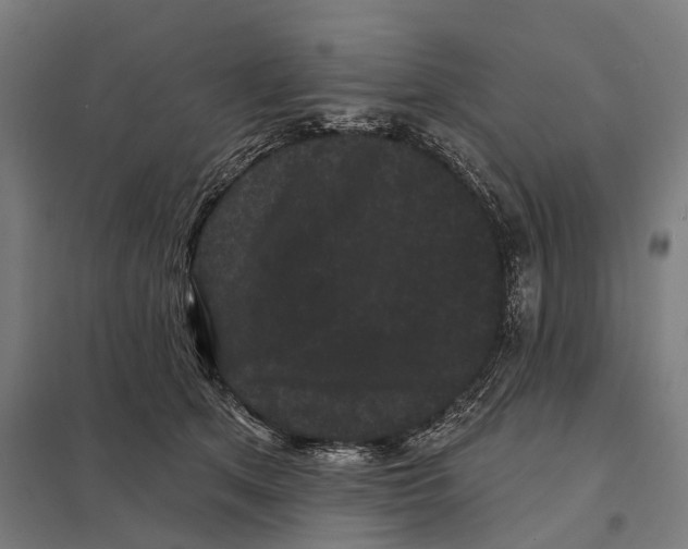X0000097630513200803281103
