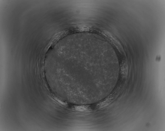 X0000097630516200803281103