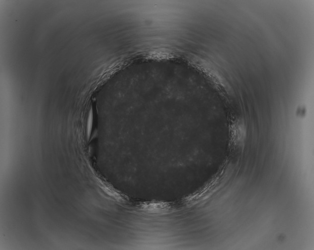 X0000097630517200803281103