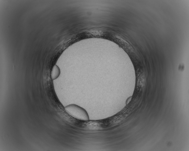 X0000097630518200803281103