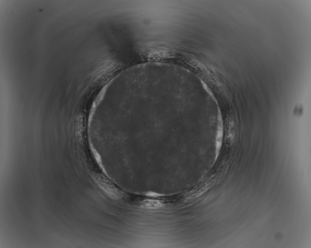 X0000097630519200803281103