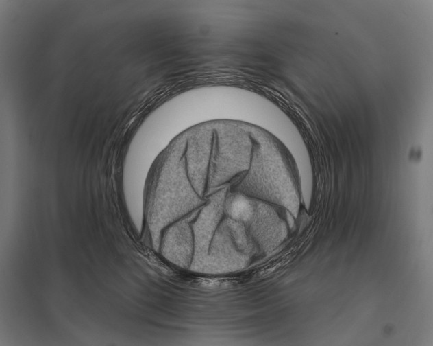 X0000097630520200803281103