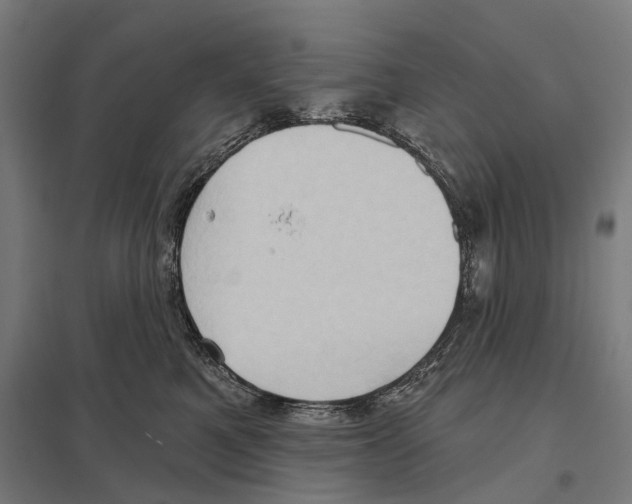X0000097630521200803281103