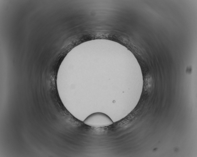 X0000097630522200803281103