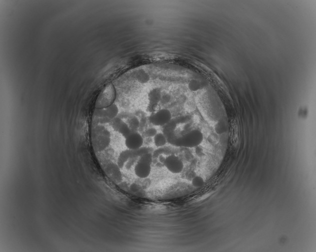 X0000097630523200803281103
